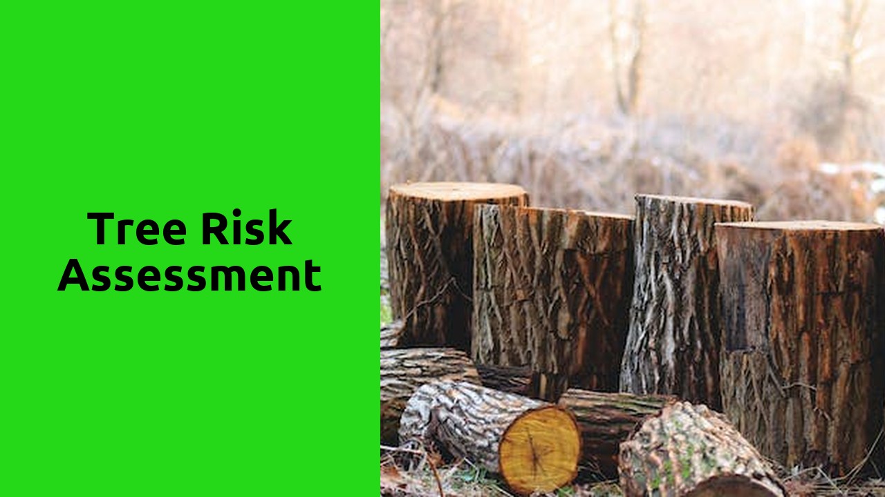 Tree Risk Assessment